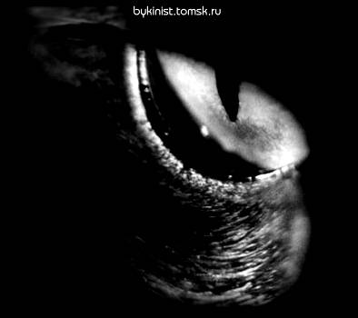enter to BykinisT